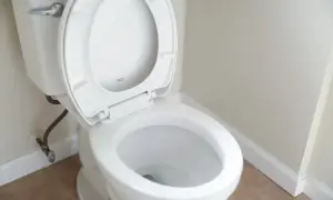 Een schone wc-bril, klaar voor een grondige reiniging met baking soda.
