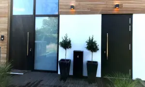 Moderne zwarte voordeur met gouden handgreep, naast een groot raam. Twee olijfbomen in potten en een zwarte brievenbus met nummer 4 bieden voordeur inspiratie.