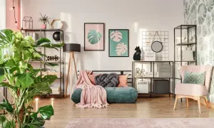 Een gezellige kamer waar groen en roze combineren interieur. Een groene bank met roze plaids, planten en decoratie.