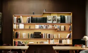 Een sfeervolle boekenkast met veel boeken, perfect voor boekenkast inspiratie. De planken zijn verlicht met subtiele LED-strips.