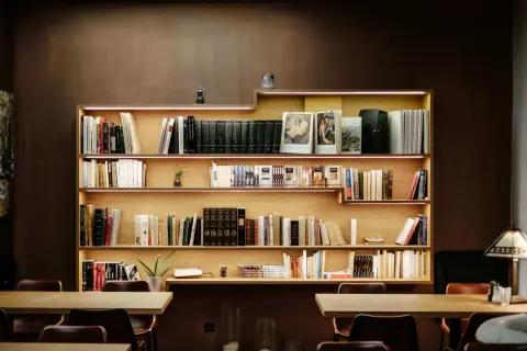 Een sfeervolle boekenkast met veel boeken, perfect voor boekenkast inspiratie. De planken zijn verlicht met subtiele LED-strips.