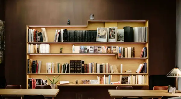 Een sfeervolle boekenkast met veel boeken, perfect voor boekenkast inspiratie. De planken zijn verlicht met subtiele LED-strips.